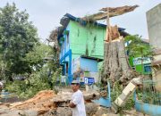 Pohon Tumbang Timpa Rumah dan Sekolah di Blora, 3 Warga Jadi Korban