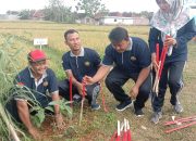 Asrikan Jalan Poros Desa, Pemdes Wantilgung Gelar Aksi Tanam Buah di Pinggir Jalan