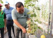 Bupati Blora : Petani Milenial Jadi Pilar Pertanian Blora