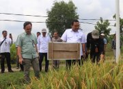 Perkuat Swasembada Pangan, Pemkab Blora Targetkan Produksi Padi dan Jagung Meningkat