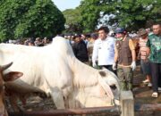 Bupati Blora Sidak Pasar Hewan, Pastikan Sapi Kurban Aman dan Sehat