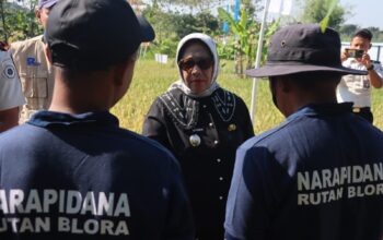 Wabup Blora Dorong Rutan Kembangkan Padi Organik, Berpeluang Tembus Pasar Nasional