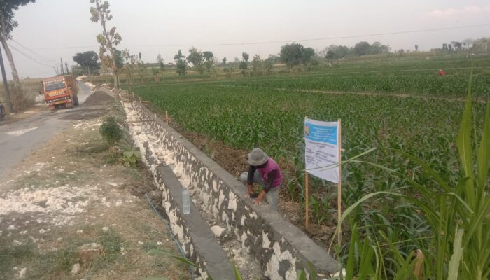 Blora Kucurkan Rp. 38,2 Miliar untuk Rehabilitasi 196 Jaringan Irigasi