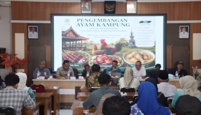 Gandeng UGM, Pemkab Blora Siapkan Ayam Kampung Jadi Penggerak Ekonomi Warga