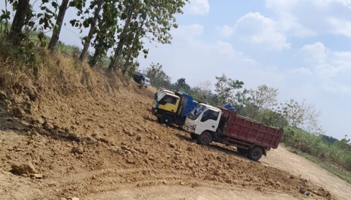 Aktivitas Tambang Galian C Tanah Urug di Desa Gondang Diduga Tanpa Izin