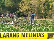Bangkai Pesawat Dievakuasi Malam Hari, Wartawan Pertanyakan Minim Informasi